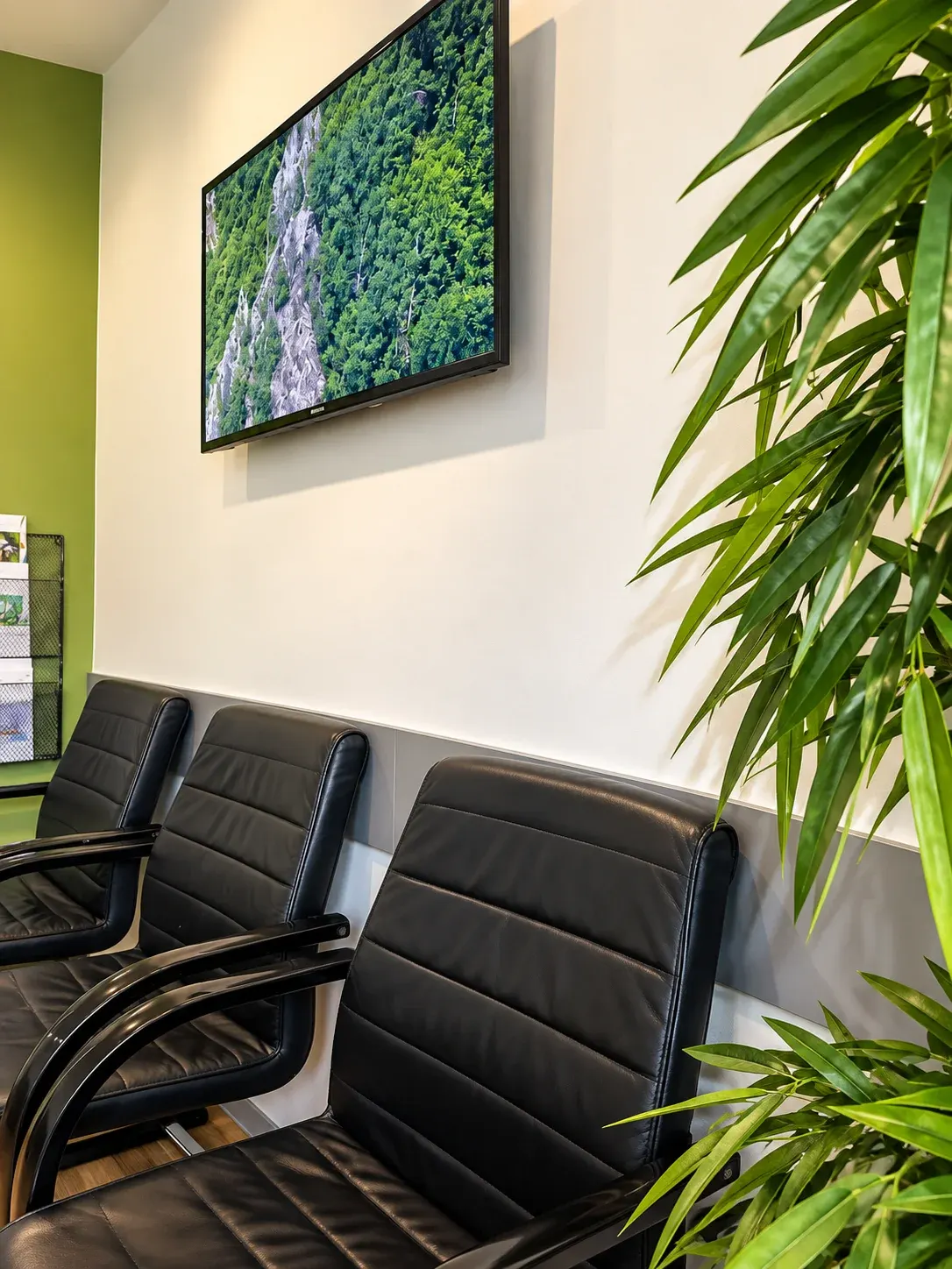 Wartezimmer-Ecke mit Natur-Bildschirm